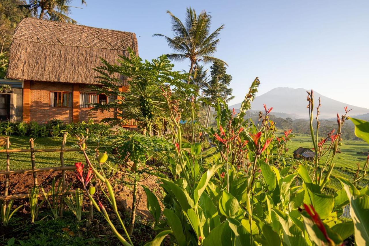 Romantic Barn With Mt. Agung Views Sidemen  Kültér fotó